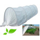 Парники