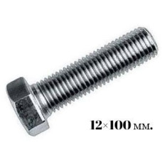 Болт 12х100 (25)