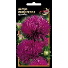 Астра Сіндерелла