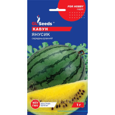 Кавун Янусик 1г Хоббі