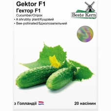 Огірок Гектор F1 20шт Best Kern