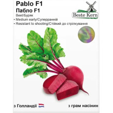 Буряк Пабло 3г Beste Kern