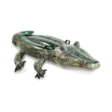 Круг 57551 плотик Акула