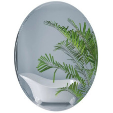 Дзеркало Tani 425х575 Lidz 140.07.11