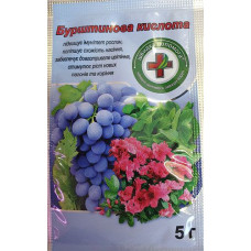 Кислота бурштинова 5г