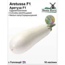 Баклажан Аретуза F1 10шт Beste Kern