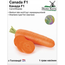 Морква Канада F1 1г Beste Kern