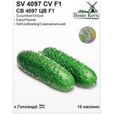 Огірок СВ 4097 ЦВ F1 10шт Beste Kern