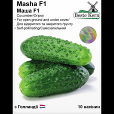 Огірок Маша F1 10шт Best Kern
