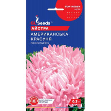 Астра Американська Красуня 0.3г Хоббі