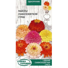 Майори Суміш Скабіозу
