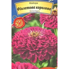 Майори Жоржиноподібні