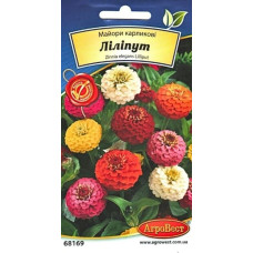 Майори Карликові