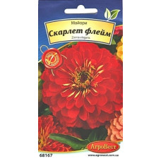 Майори Скарлет
