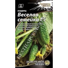 Запальничка ЮСБ імпульсна HL-4838