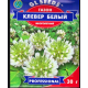 Конюшина